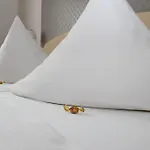 Der Kleine Nachbar 3*